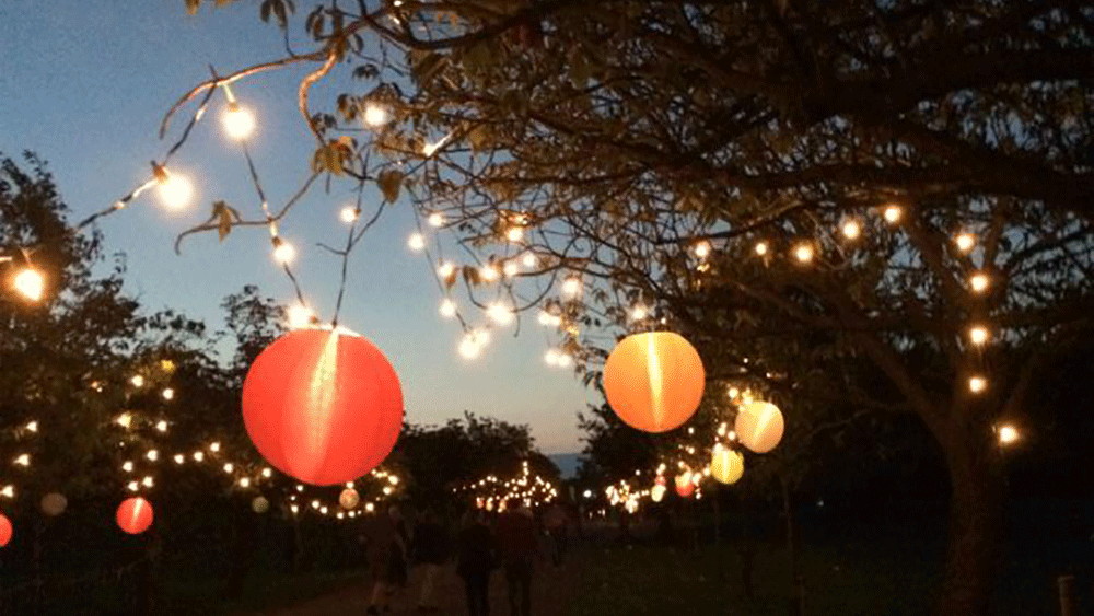 ZSL Whipsnade Zoo Lanterns