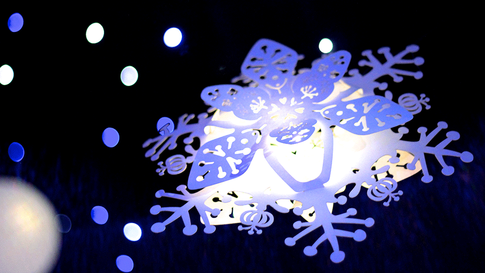 Laser Cut Stars decorate New Years at Mount Edgcumbe Hotel