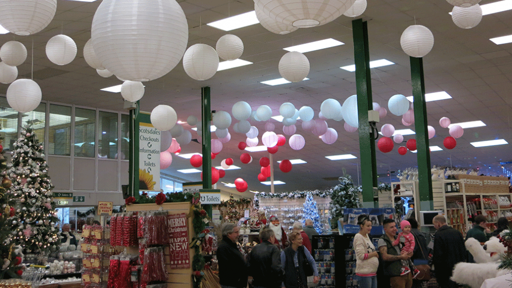 Festive Paper Lantern Decorations at Scotsdales Garden Centre