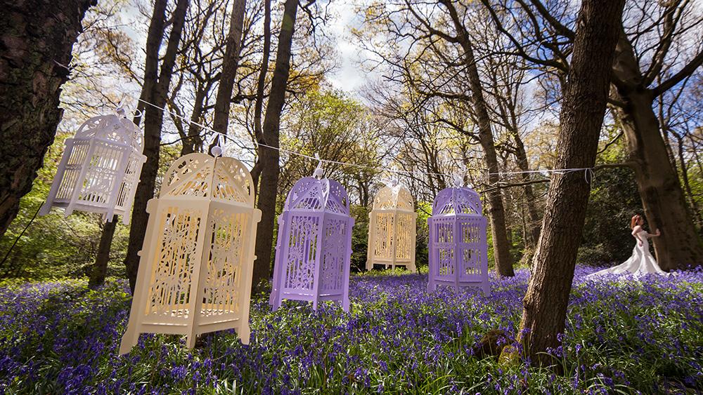 Hand drawn birdcage lanterns