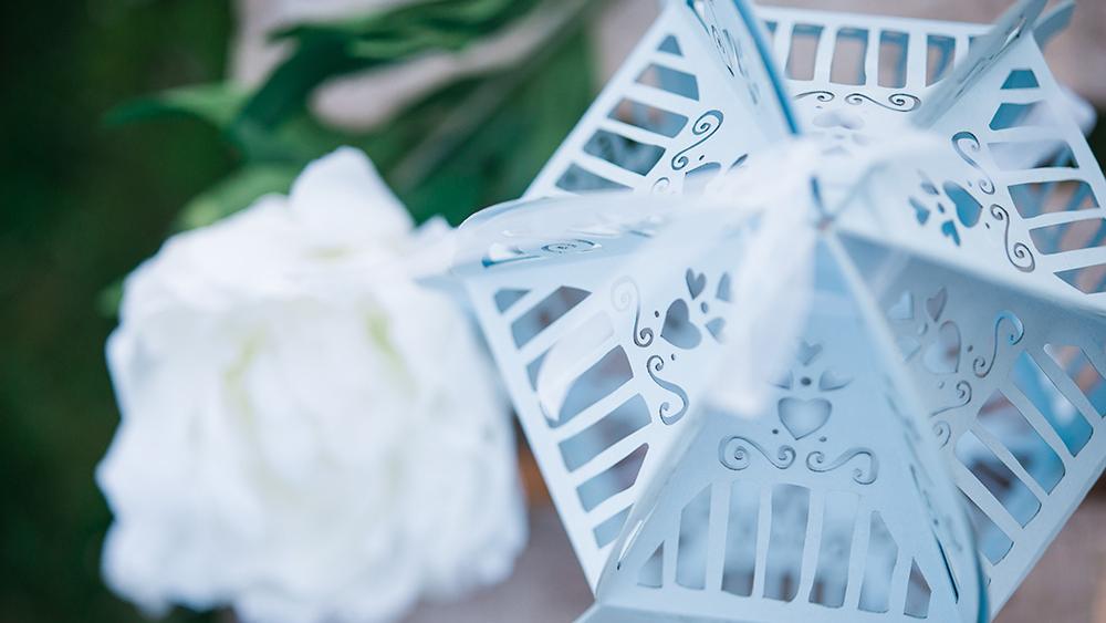 Hand drawn birdcage lanterns