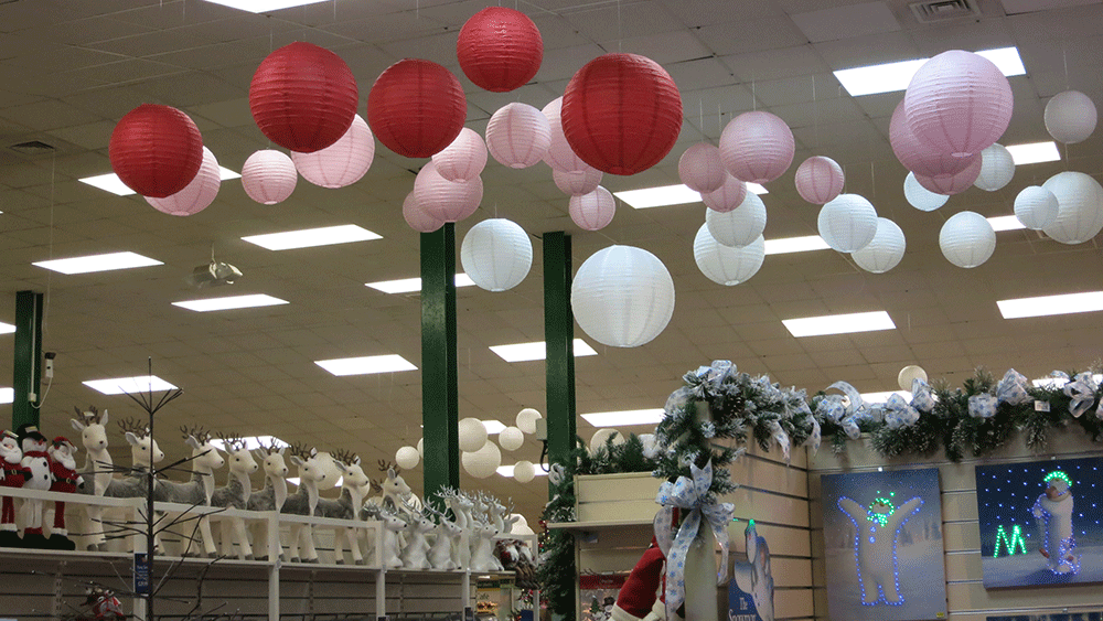 Festive Paper Lantern Decorations at Scotsdales Garden Centre