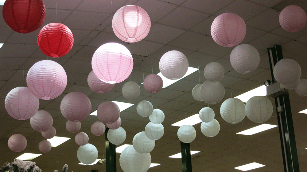 Festive Paper Lantern Decorations at Scotsdales Garden Centre