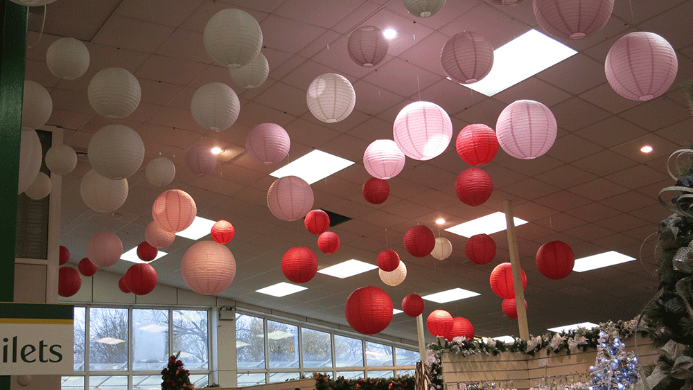 Festive Paper Lantern Decorations at Scotsdales Garden Centre