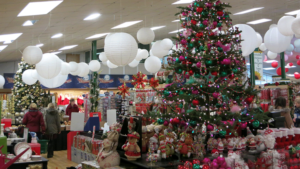 Festive Paper Lantern Decorations at Scotsdales Garden Centre