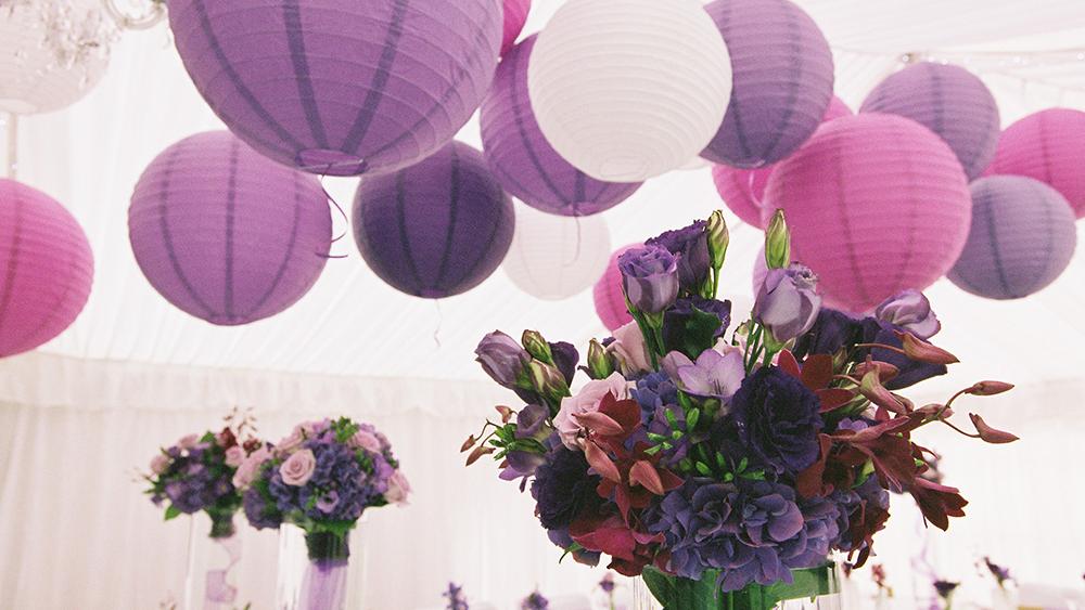 Feminine Violet and Purple Lanterns