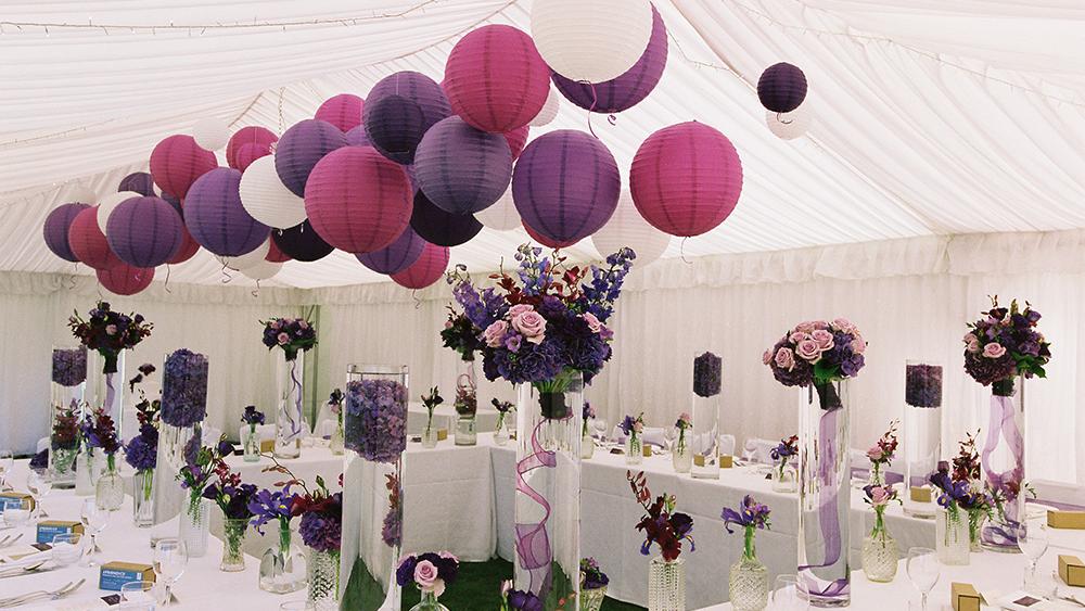 Feminine Violet and Purple Lanterns