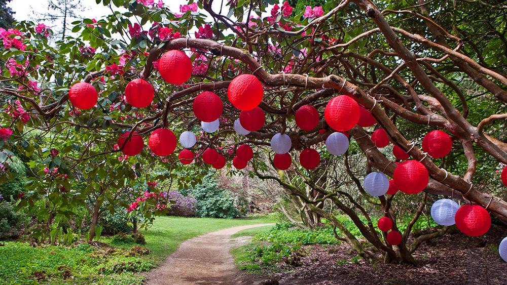 National Trust Outdoor Lanterns