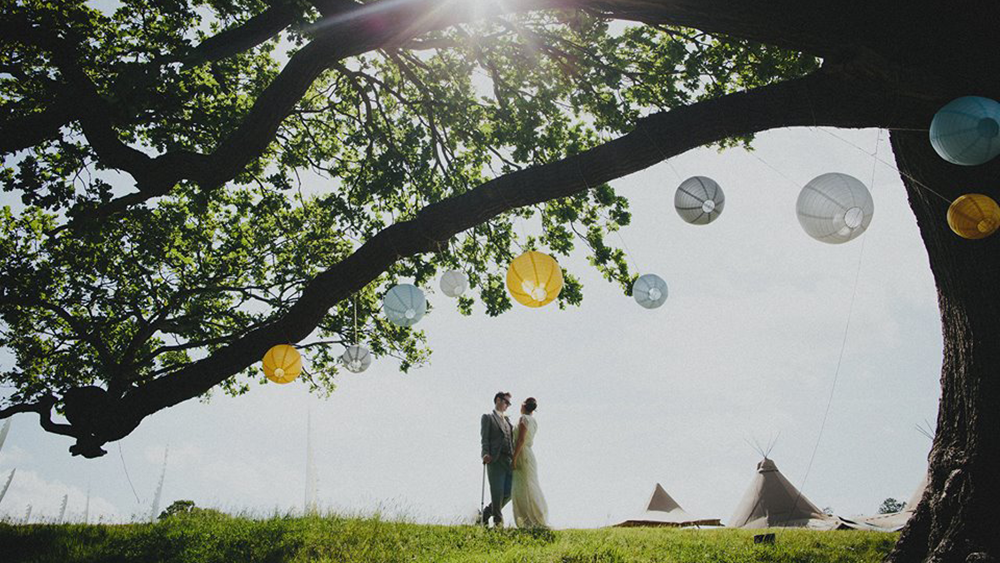 Sunshine Yellow Lanterns decorate House Meadow Farm in Kent