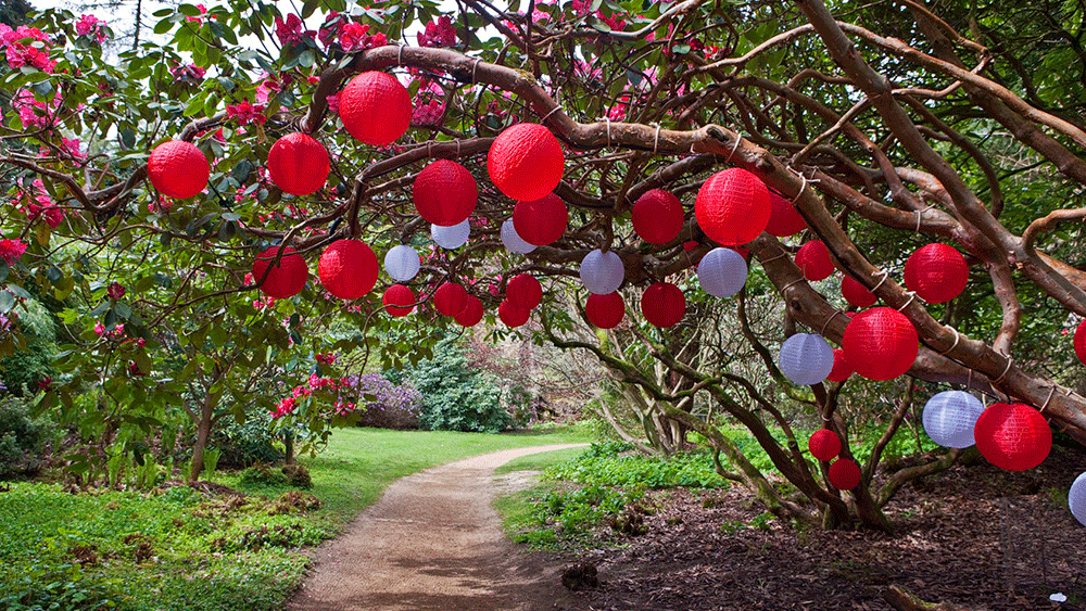 National Trust Outdoor Lanterns