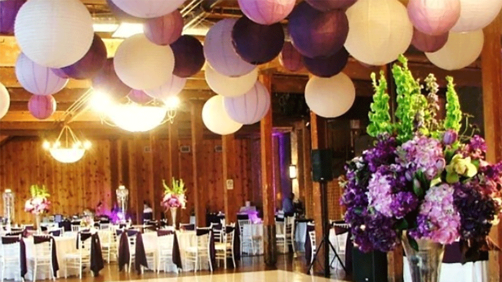 The perfect regal reception