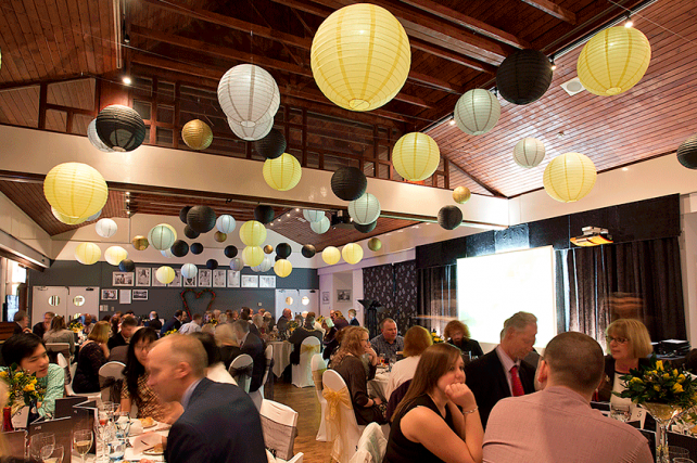 dove grey and yellow paper lanterns