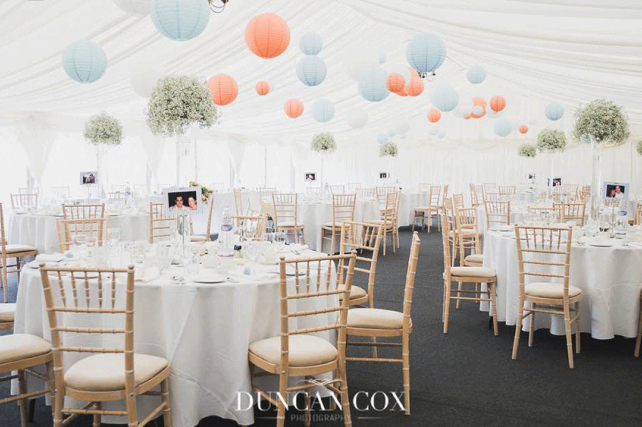 Baby Blue and Peach Paper Lanterns