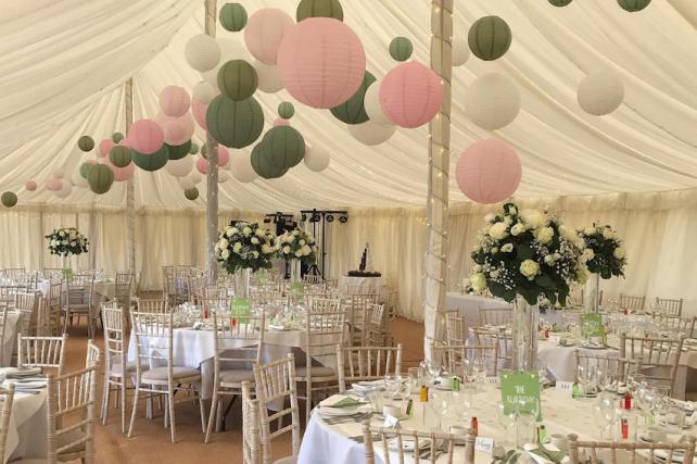 Sage and pink paper lanterns