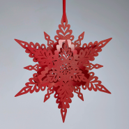 Winter Berry Christmas snowflake
