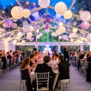 Illuminated Purple Paper Lanterns