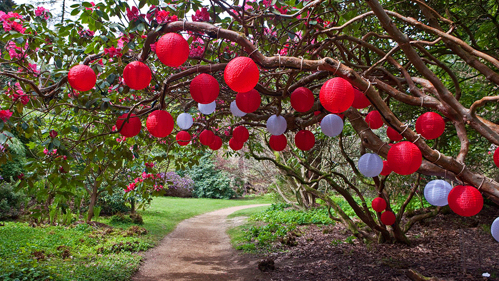 National Trust Outdoor Lanterns National Trust Outdoor Lanterns
